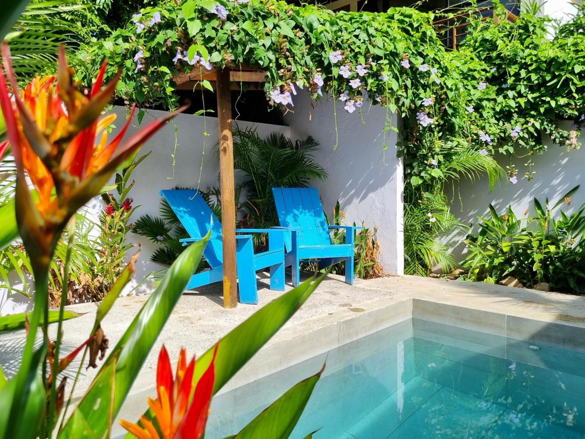 Casas La Floristeria Villa Паломино Екстериор снимка